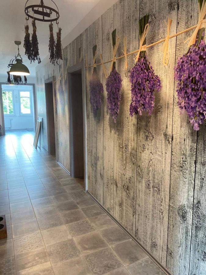 La Maison Pritzwalk - Bett & Bike Экстерьер фото
